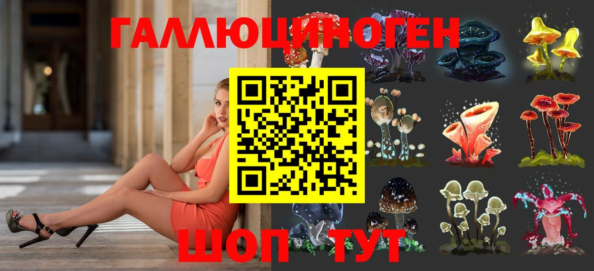 Псилоцибиновые грибы Psilocybe  Галлюциногенные грибы GOLDEN TEACHER  Ухта  Вход с VPN 